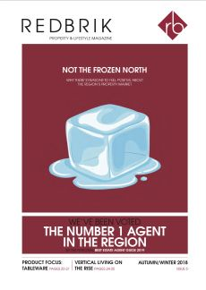 Issue 05 - Redbrik