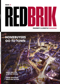 Issue 11 - Redbrik